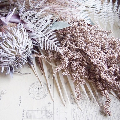 カサカサつぶつぶ