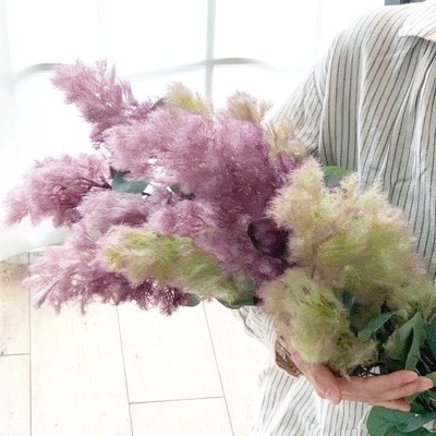 もくもくスモークツリー