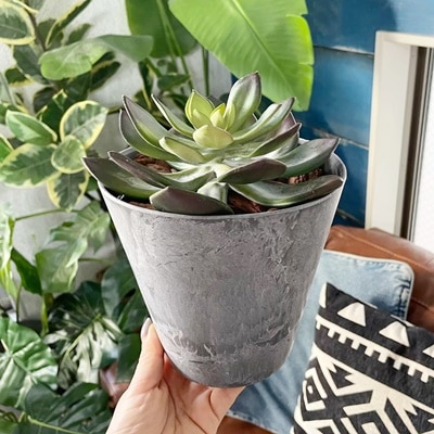 アートストーンSS（グレー）