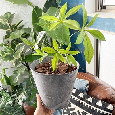 アートストーンS(グレー)