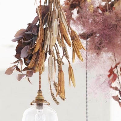 かちかちシードポット