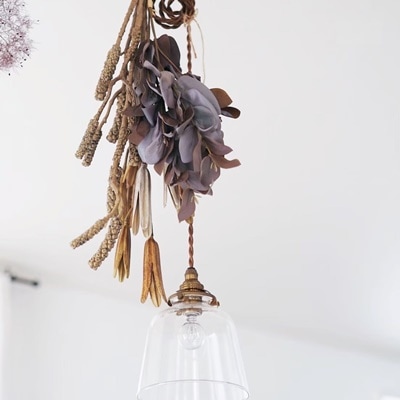 ブラシノキの実のドライ