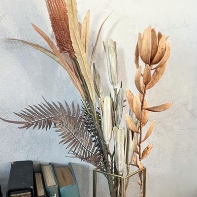 枯れ枯れリュウカデンドロン