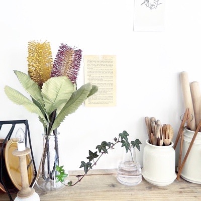 ゲジゲジ葉っぱのバンクシア