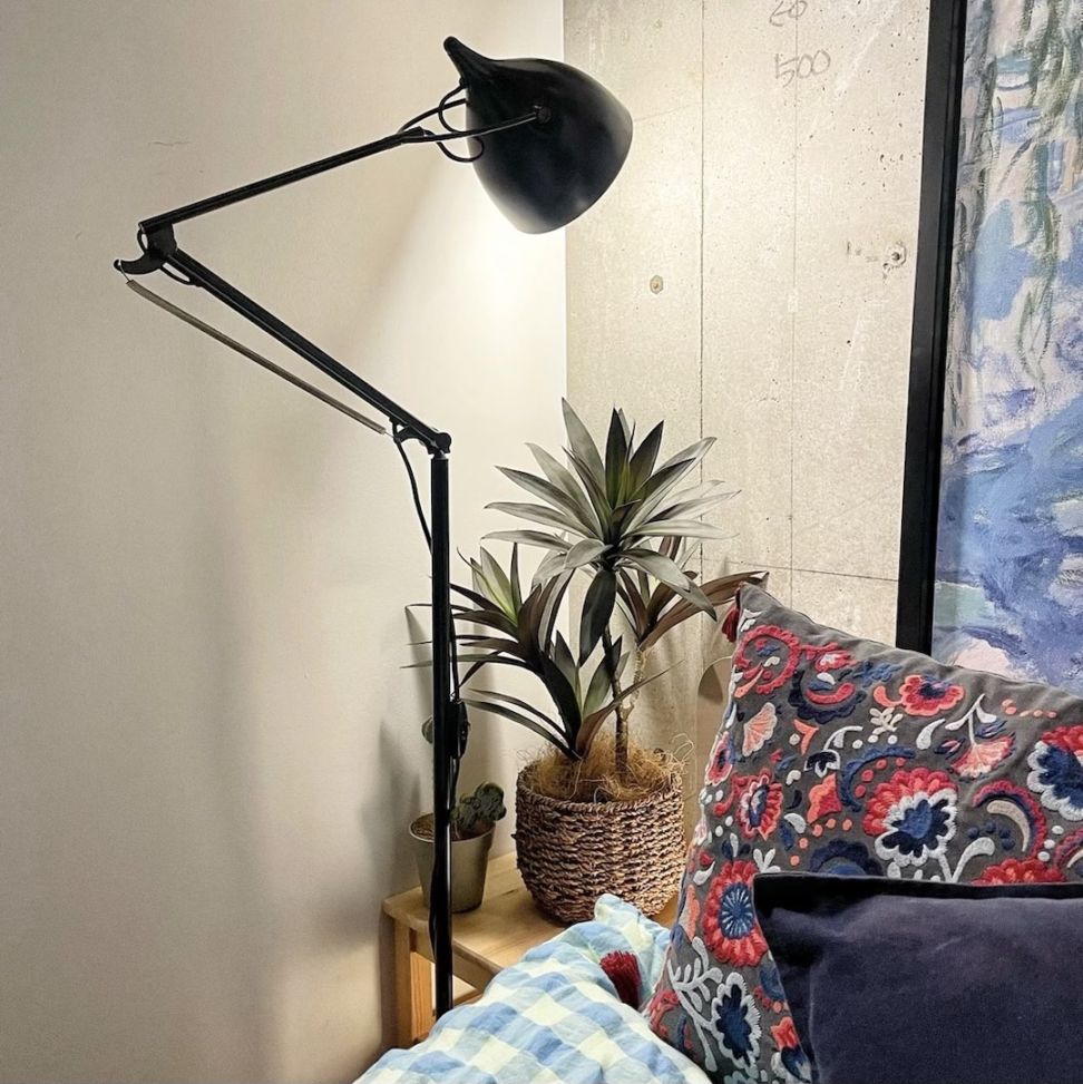 【送料無料♪】オトナ色のドラセナ