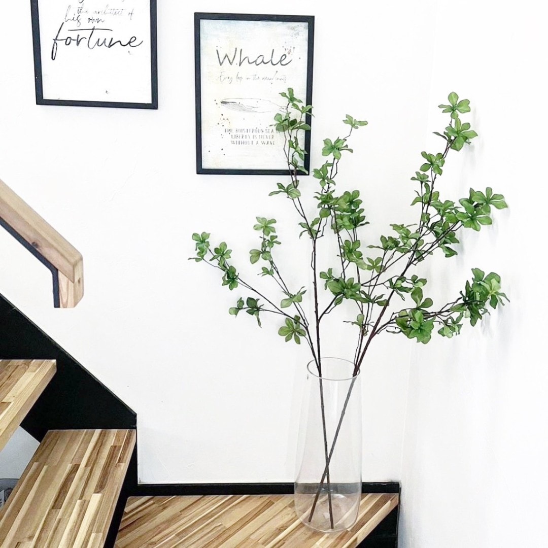 駆ける。。駆ける。。超絶品ドウダンツツジ。 駆ける。。駆ける。。超絶品ドウダンツツジ。