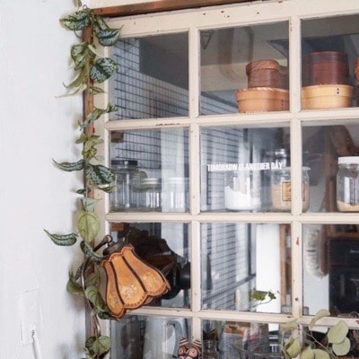 なが～いスキンダプサス