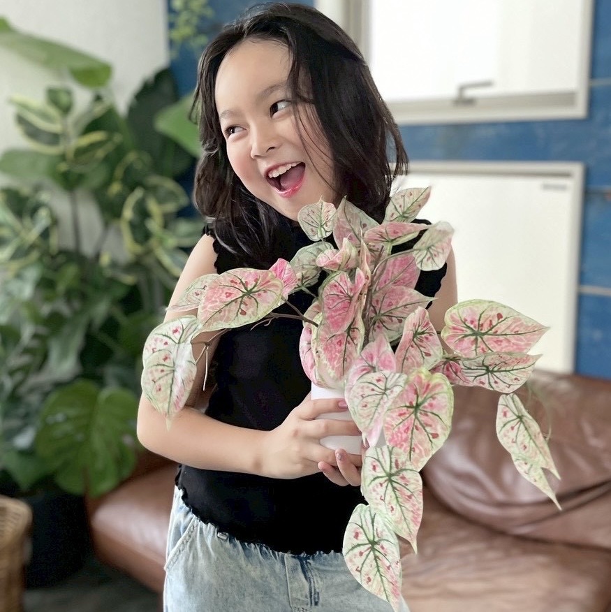 ハンギング｜おしゃれなフェイクグリーン・人工観葉植物通販【いな