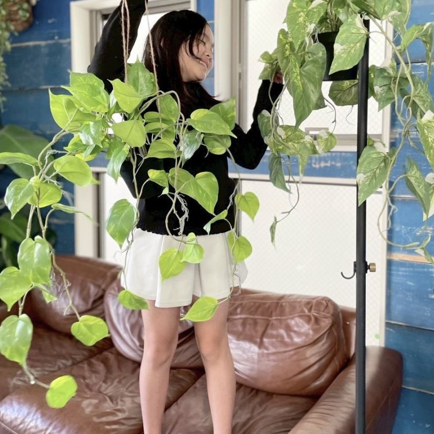 もりもりわさわさポトス