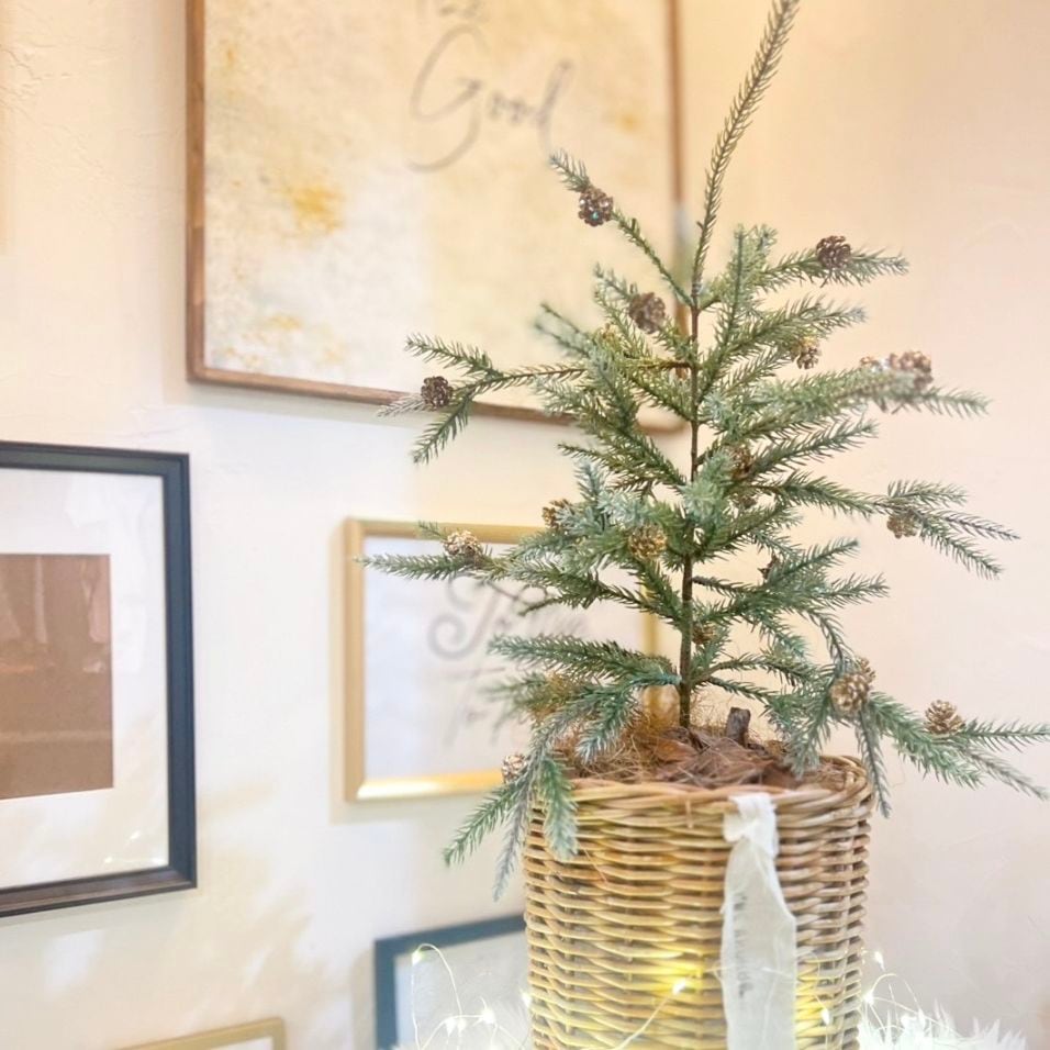 大人可愛いモミの木