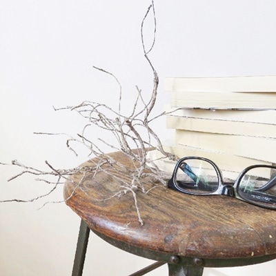 ワシャワシャブランチ