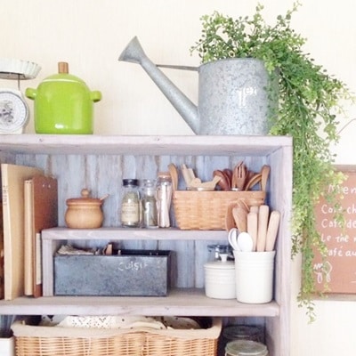 丸い葉っぱのモフモフ