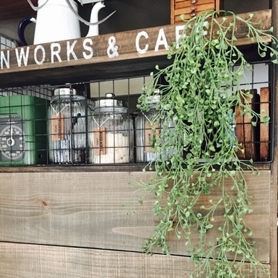 ラッパ型の葉っぱのモフモフ