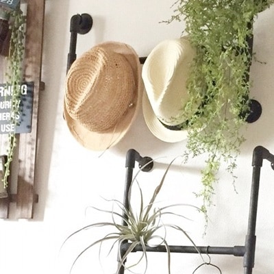 シブ渋モフモフ