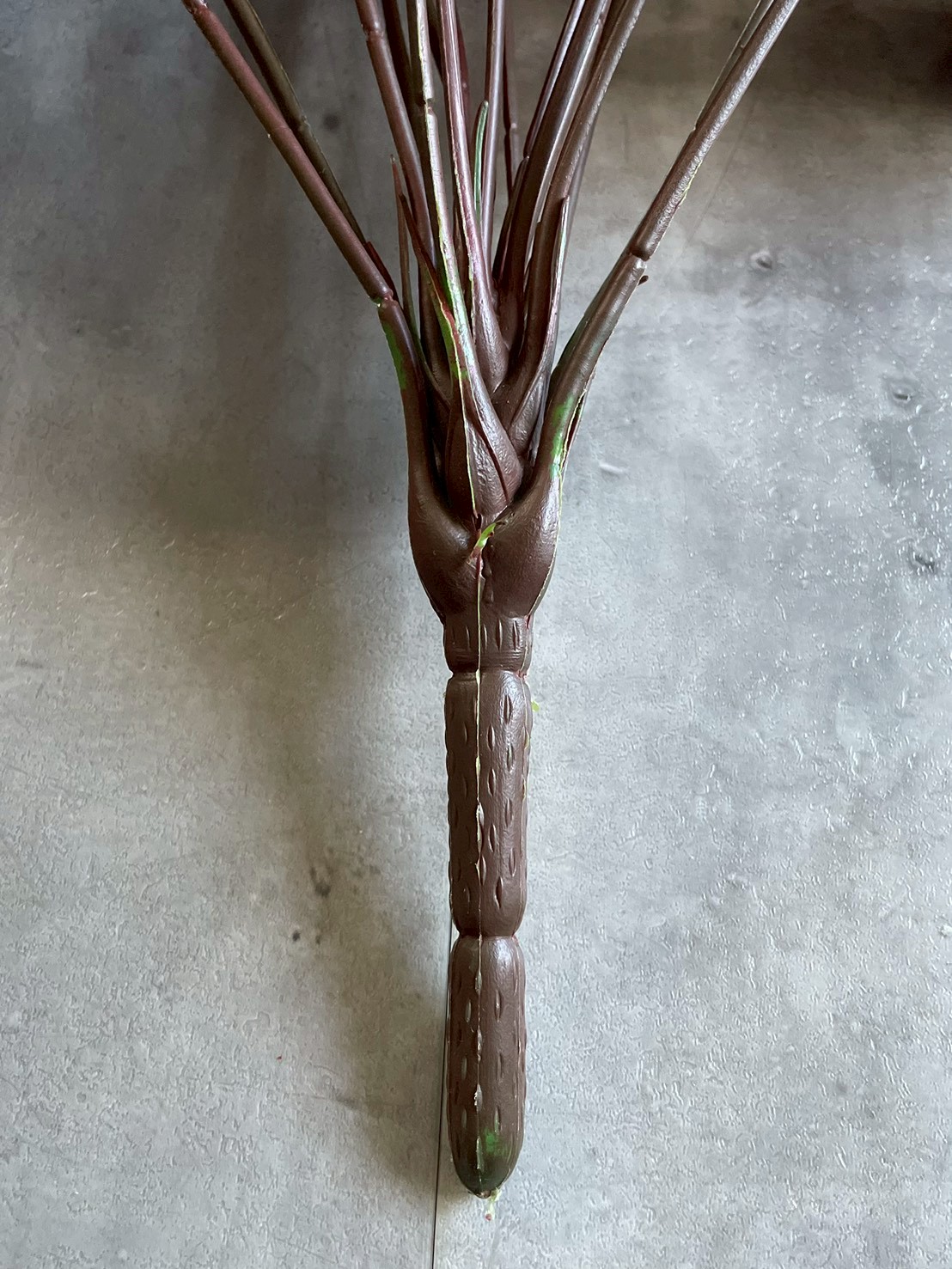 派手派手カラテア