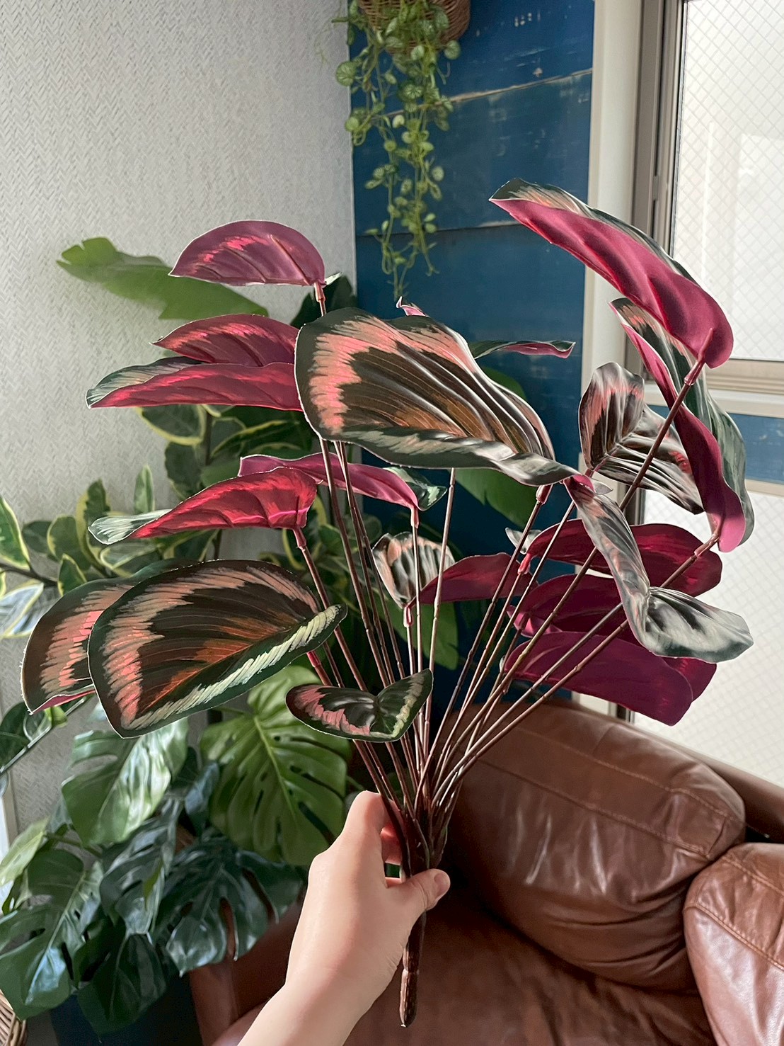 派手派手カラテア