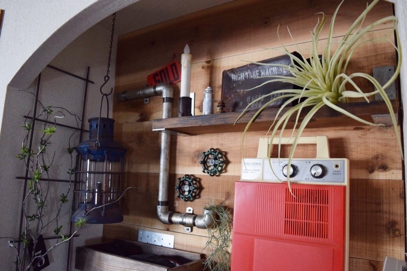 ティランジアB(Lサイズ)