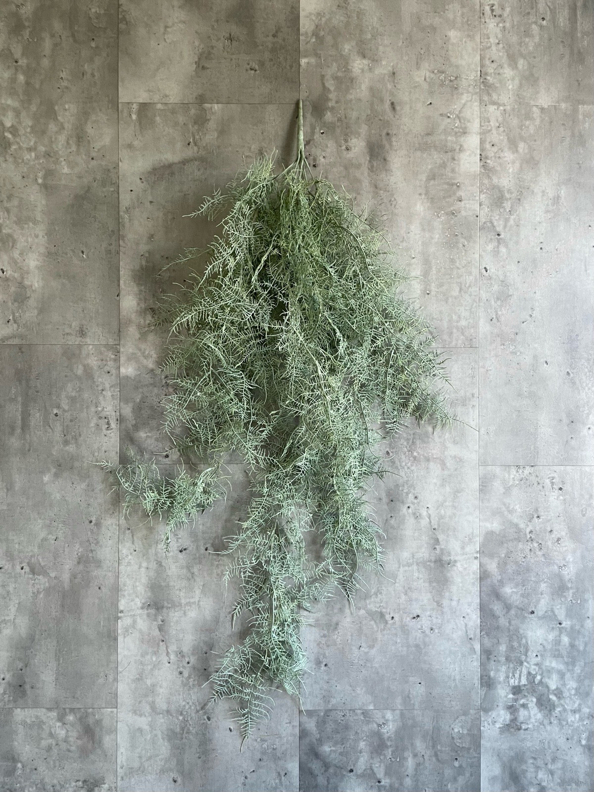 ボリューミーもふもふアスパラガス