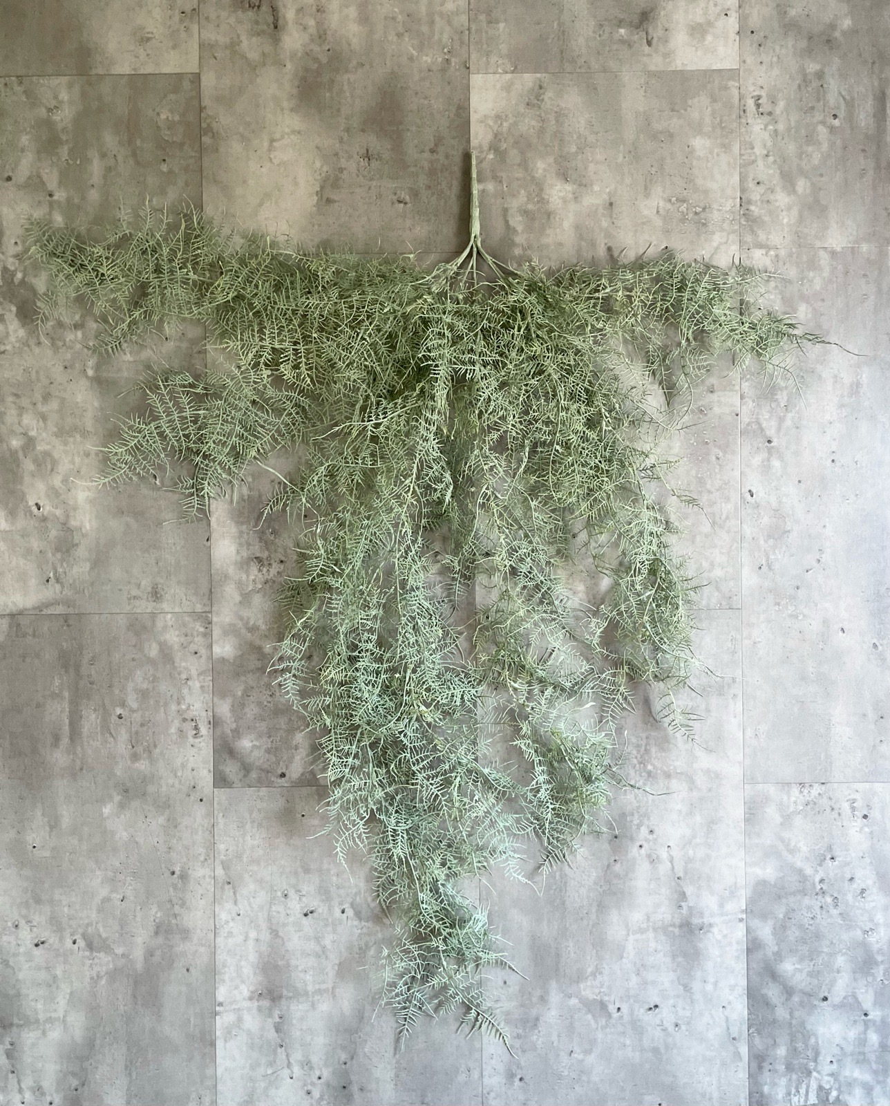 ボリューミーもふもふアスパラガス