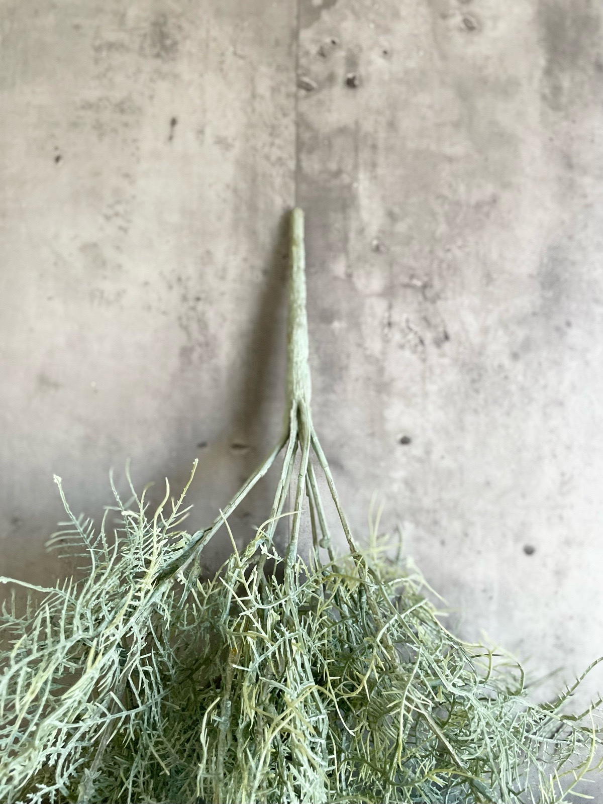 ボリューミーもふもふアスパラガス