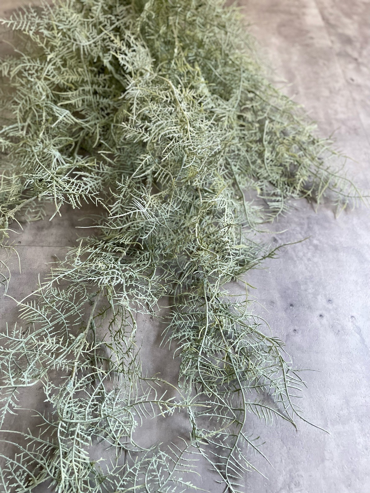 ボリューミーもふもふアスパラガス