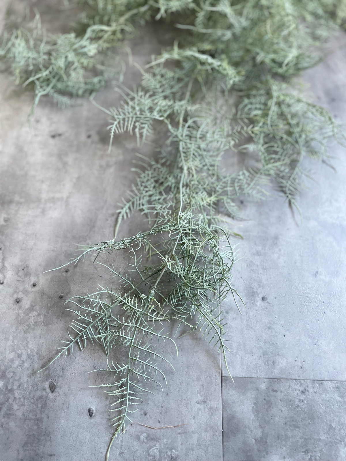 ボリューミーもふもふアスパラガス