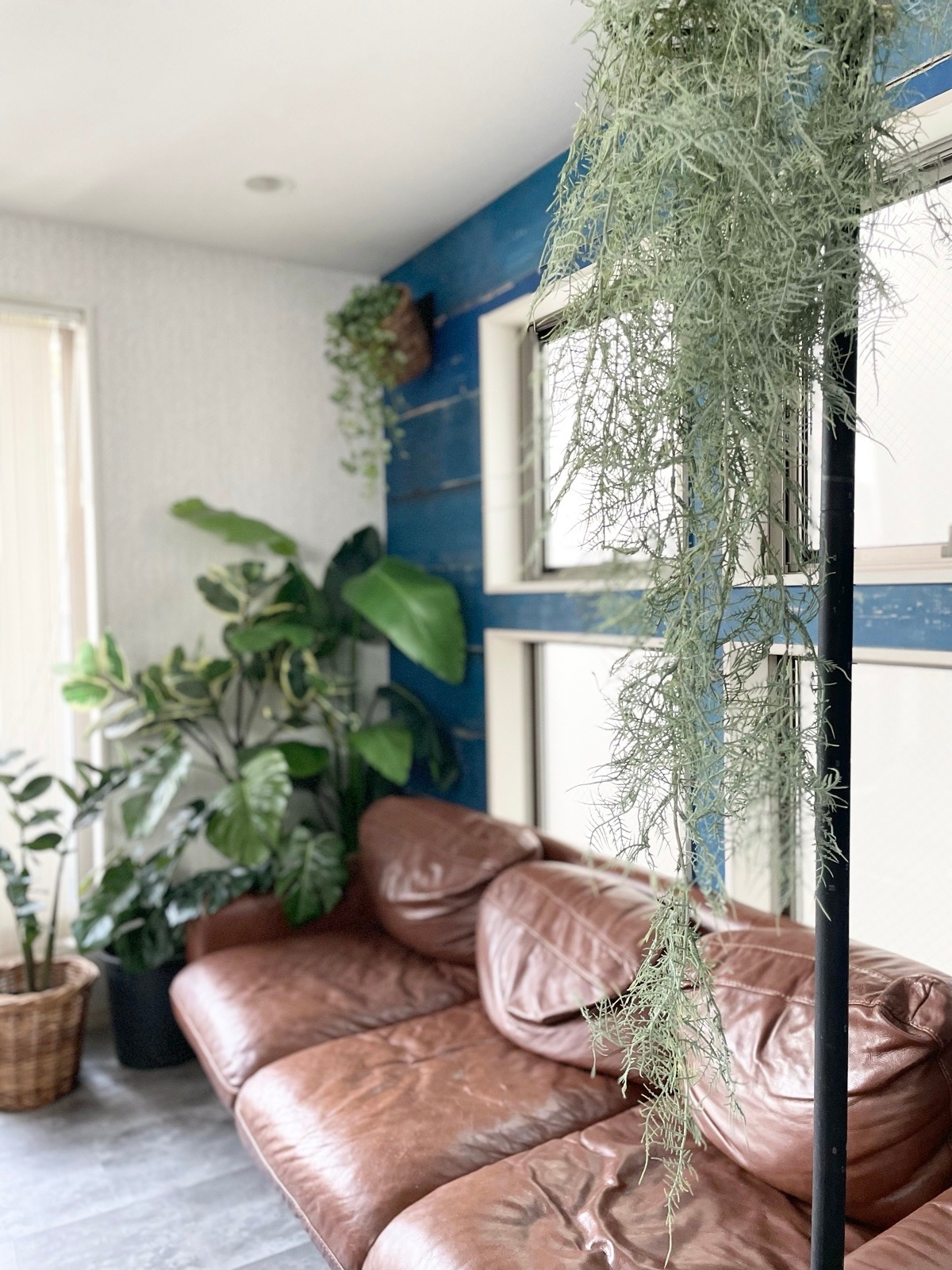 ボリューミーもふもふアスパラガス