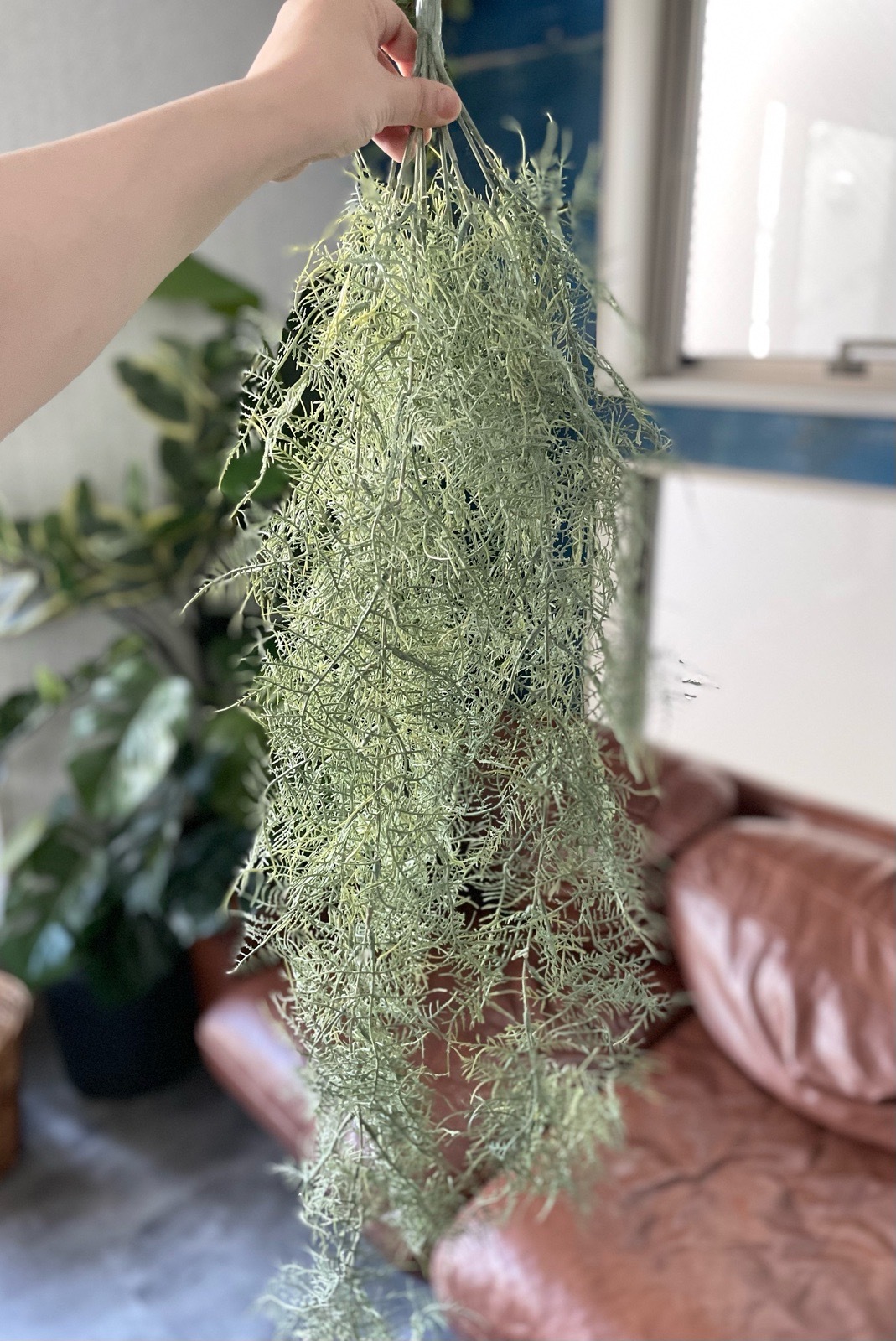 ボリューミーもふもふアスパラガス