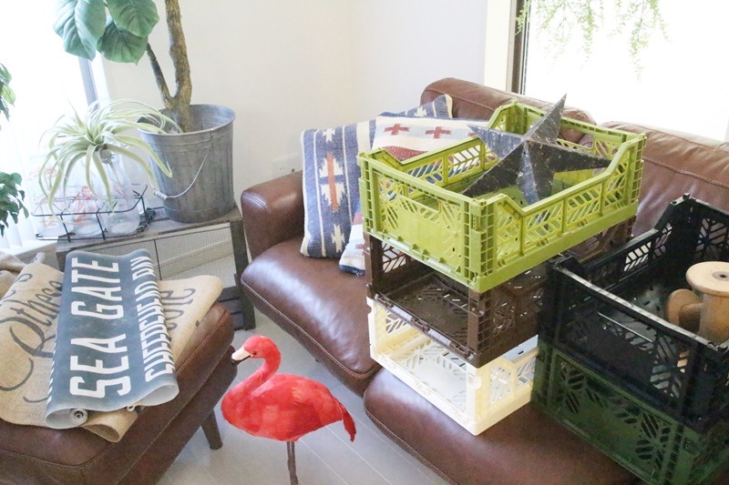 カラーコンテナM (オリーブ)