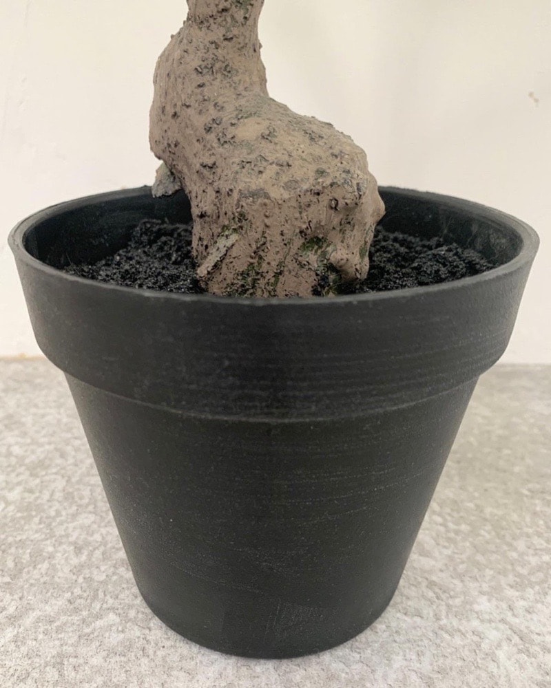 送料無料♪】ウンベラータ|おしゃれなフェイクグリーン・人工観葉植物