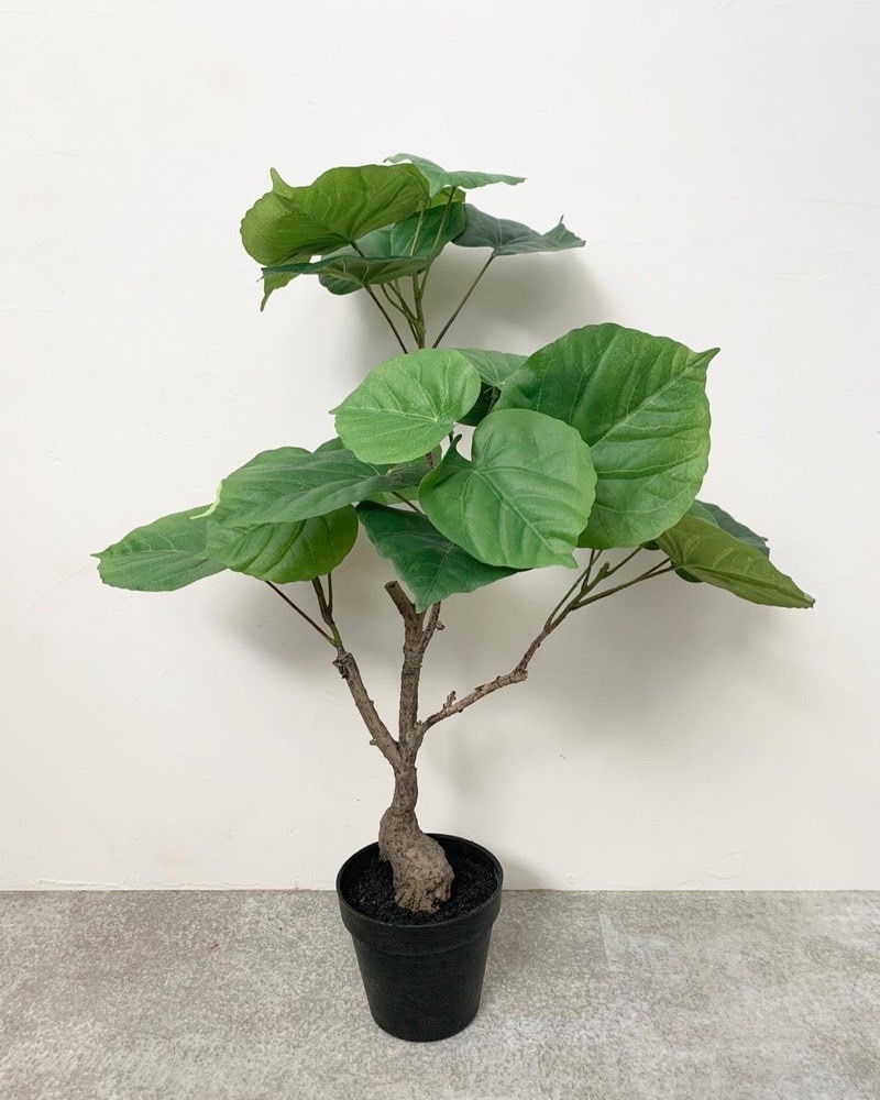 送料無料♪】ウンベラータ|おしゃれなフェイクグリーン・人工観葉植物