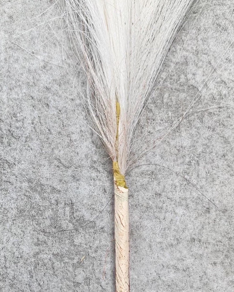 դդѥѥ饹Sʥۥ磻ȡ