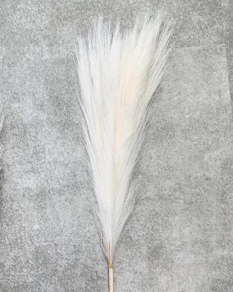 դդѥѥ饹Sʥۥ磻ȡ