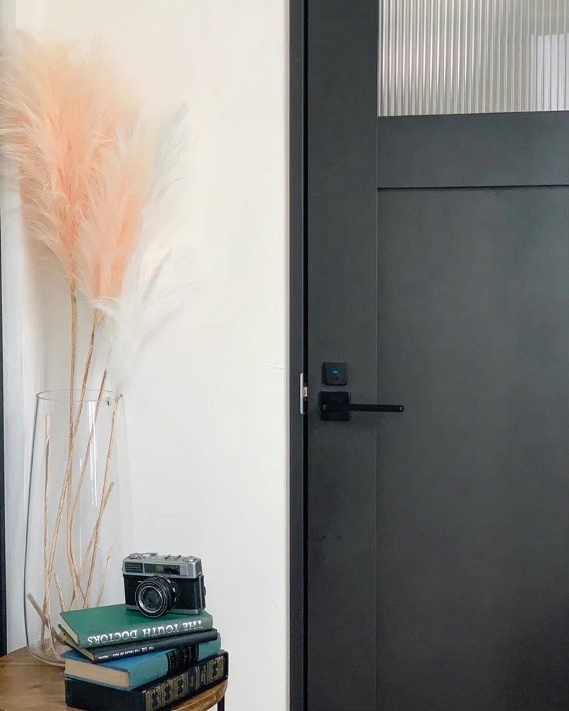 ふわふわパンパスグラスS(ピンク)