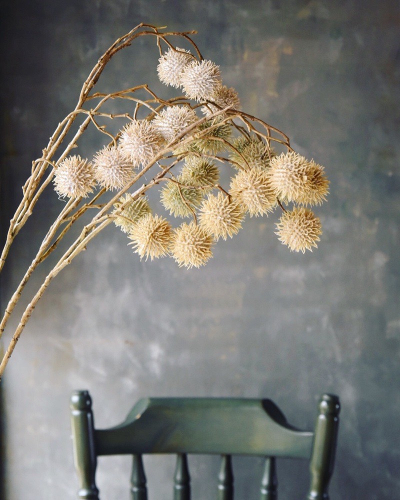 ݤݤʥ꡼ۥ磻ȡ꡼।ߥȥ꡼ 