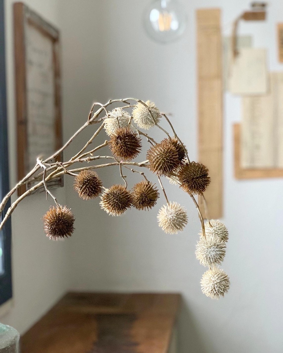 ݤݤʥ꡼ۥ磻ȡ꡼।ߥȥ꡼ 