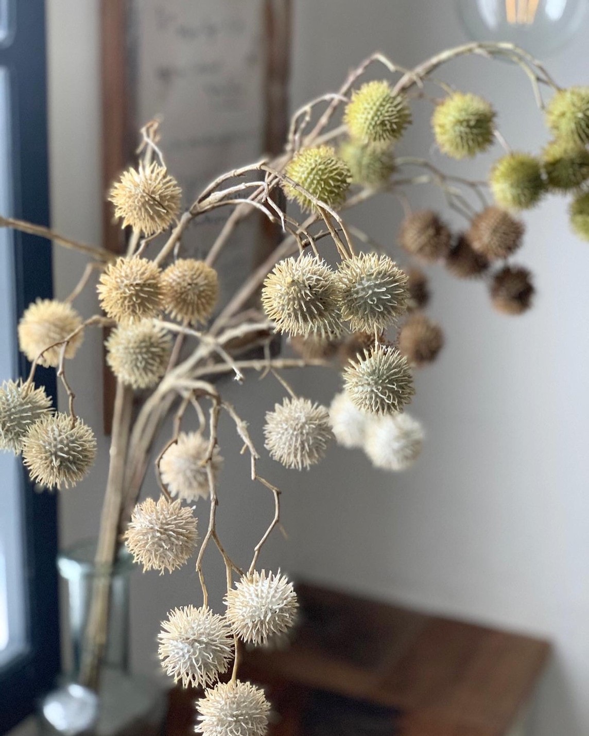 ݤݤʥ꡼ۥ磻ȡ꡼।ߥȥ꡼ 