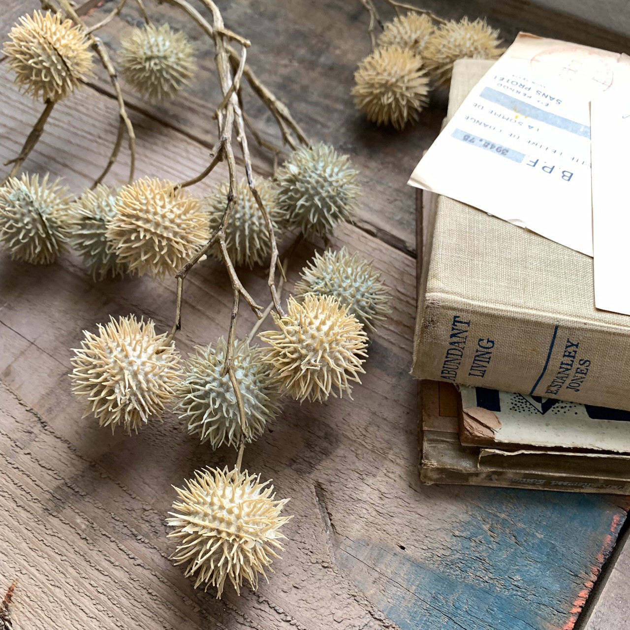 ݤݤʥ꡼ۥ磻ȡ꡼।ߥȥ꡼ 