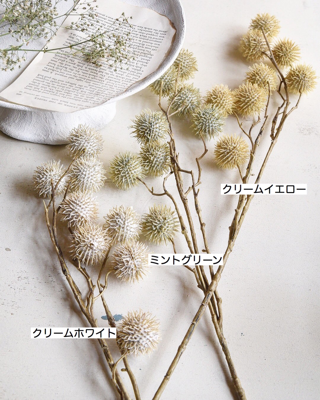 ݤݤʥ꡼ۥ磻ȡ꡼।ߥȥ꡼ 