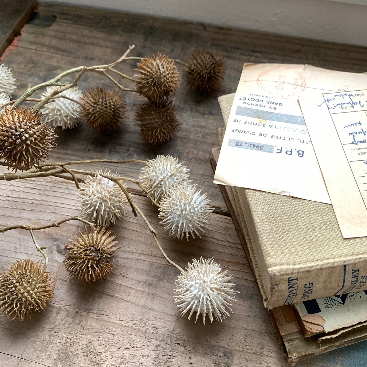 ݤݤʥ꡼ۥ磻ȡ꡼।ߥȥ꡼ 