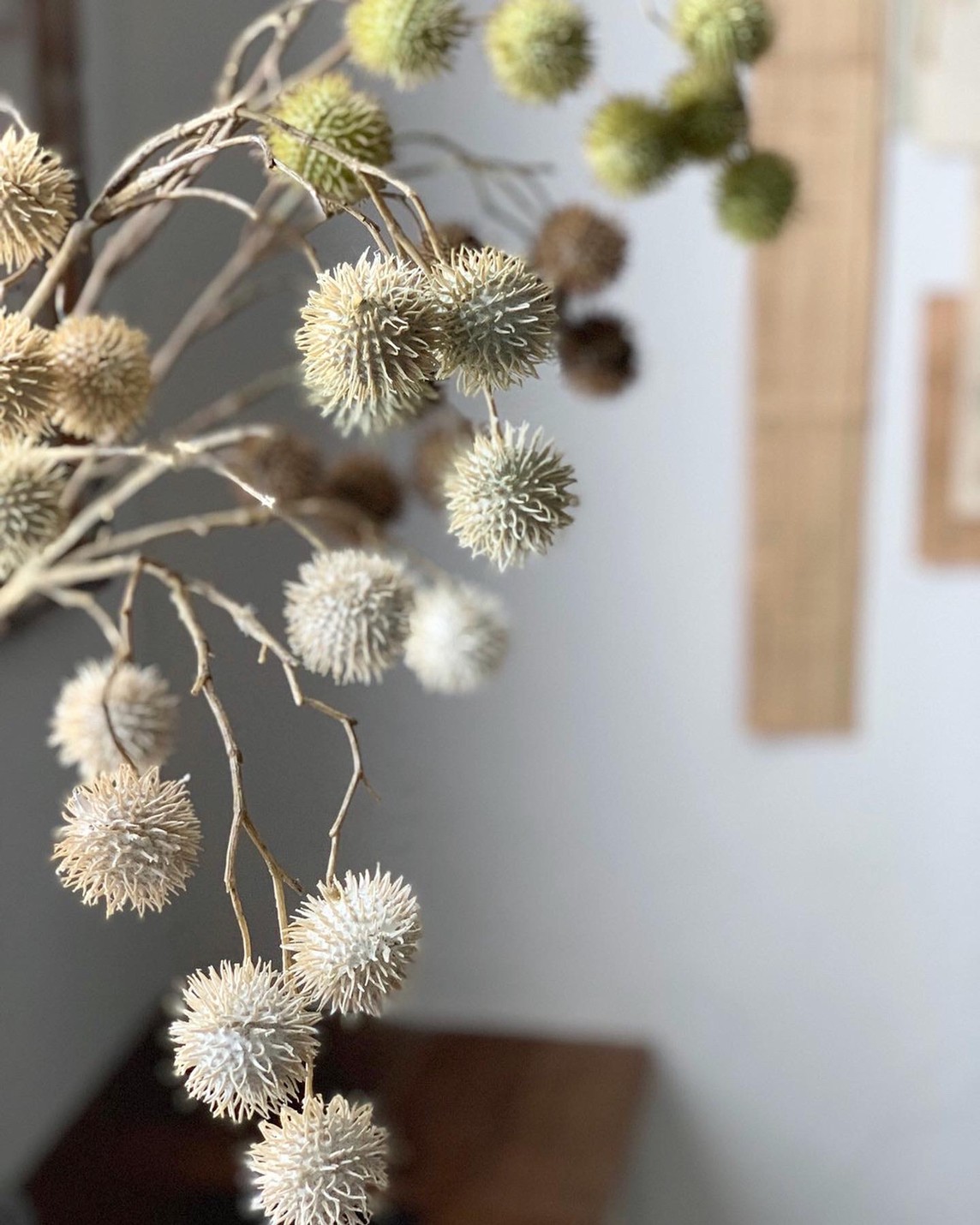 ݤݤʥ꡼ۥ磻ȡ꡼।ߥȥ꡼ 