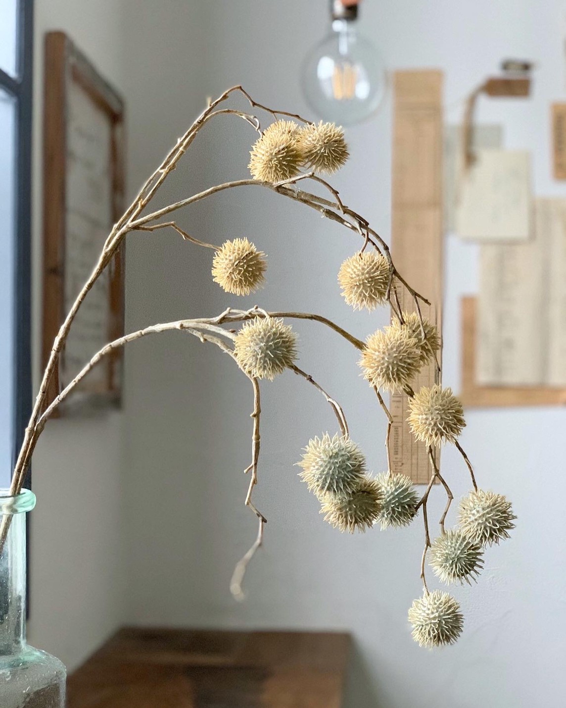 ݤݤʥ꡼ۥ磻ȡ꡼।ߥȥ꡼ 