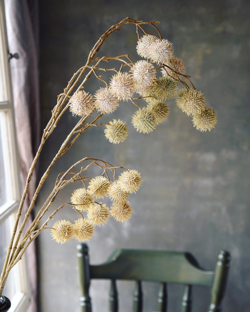 ݤݤʥ꡼ۥ磻ȡ꡼।ߥȥ꡼ 