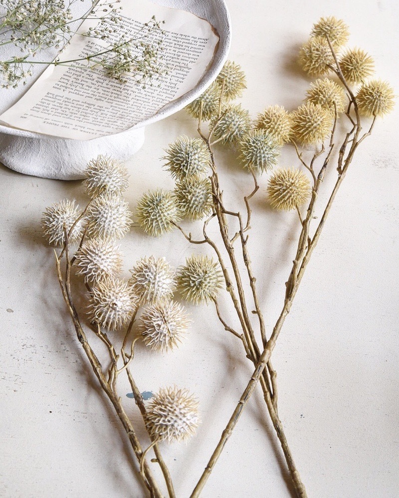 ݤݤʥ꡼ۥ磻ȡ꡼।ߥȥ꡼ 