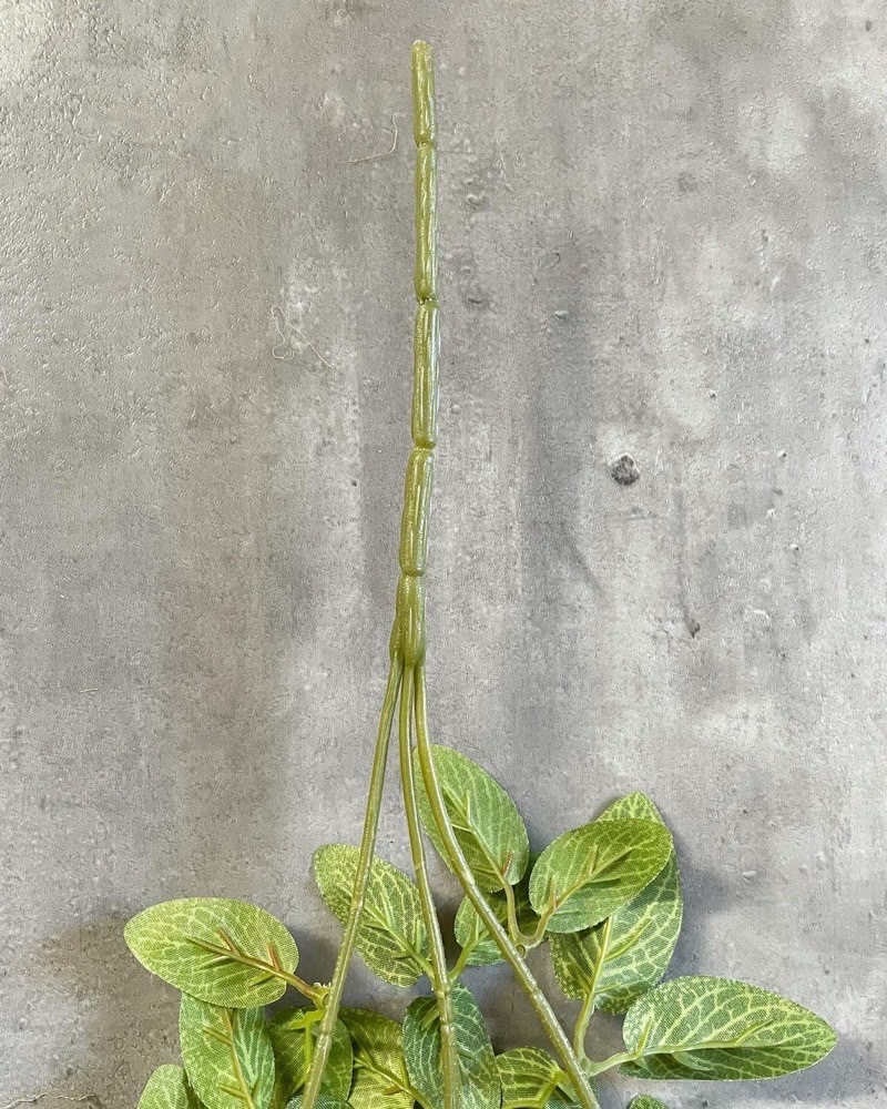 垂れるフィットニア（グリーン）|おしゃれなフェイクグリーン・人工