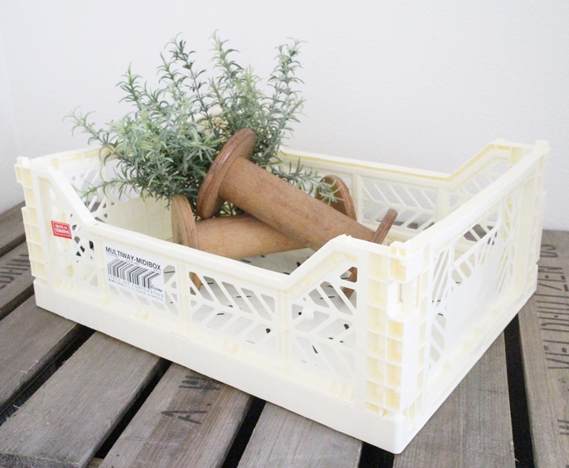 カラーコンテナM (バニラ)