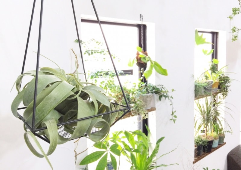 くるくるキセロL