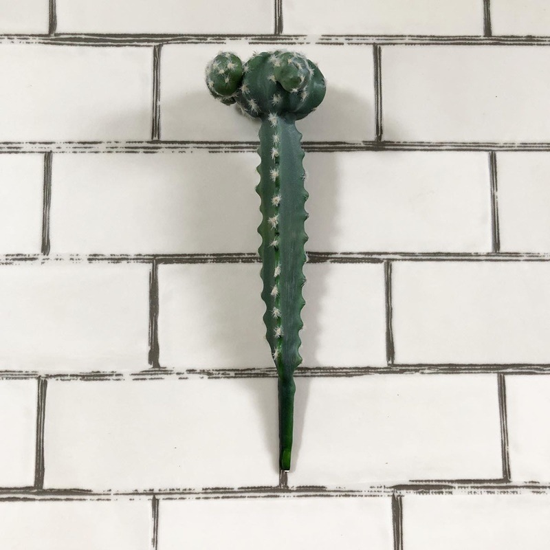 接ぎ木サボテン