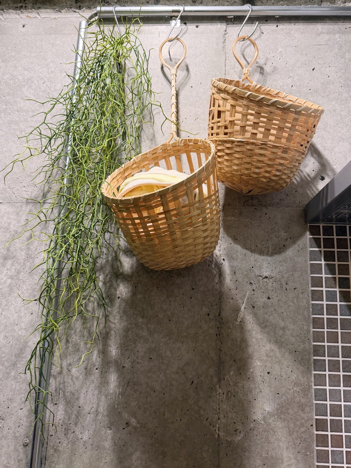 ワシャワシャリプサリス|【いなざうるす屋】フェイクグリーン専門店
