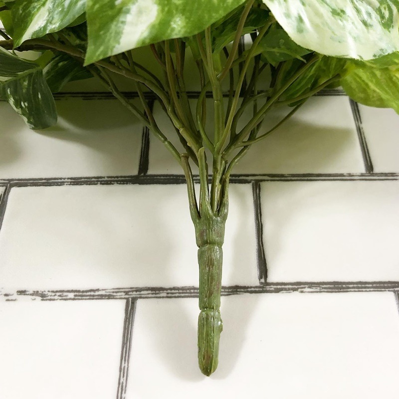 ちょいもりポトス